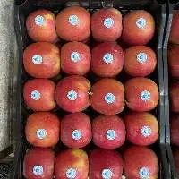 Pink Lady Apple