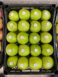 Granny Smith Apple