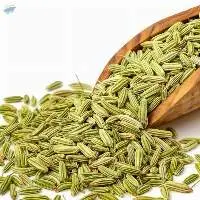 Fennel Seed