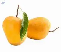 Mango (Alphonso)