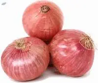 Onion