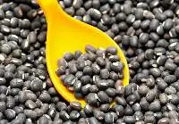 Urad Dal