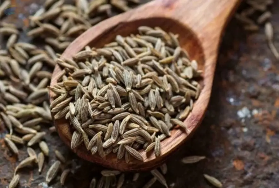 Cumin