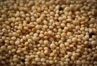 Amaranth