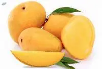 Alphonso Mango Puree / Pulp