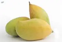 Totapuri Mango Puree / Pulp