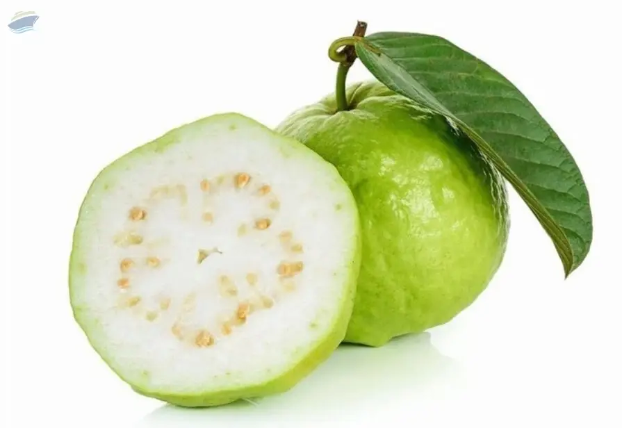 White Guava Puree / Pulp
