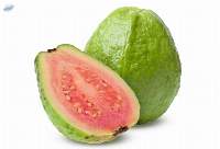 Pink Guava Puree (Pulp)