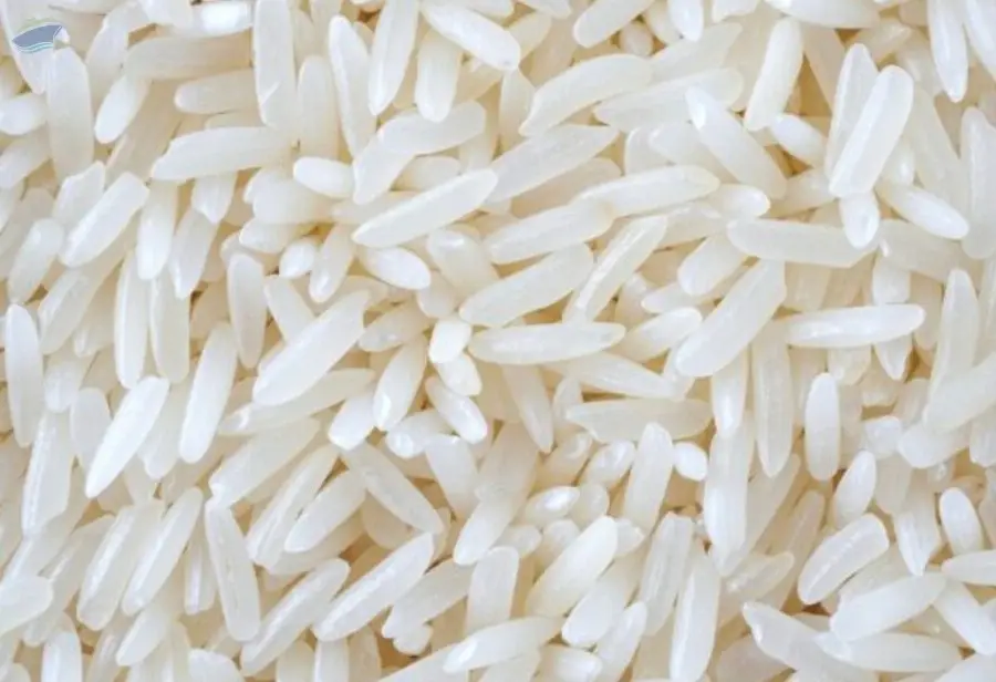 PR 11 Non Basmati Rice
