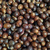 Nutmeg