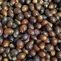 Nutmeg