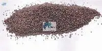 Mustard Seed