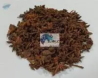 Star Anise