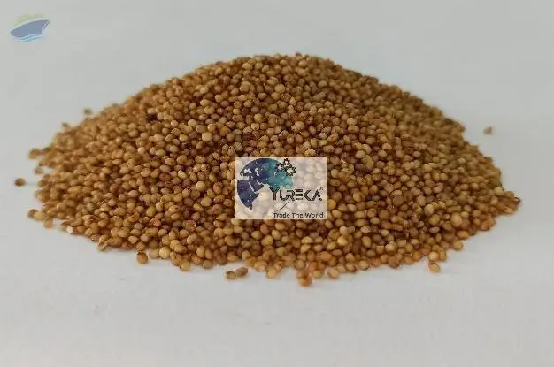 Kodo Millet