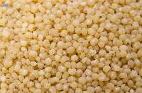 Barnyard Millet
