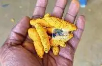 Turmeric