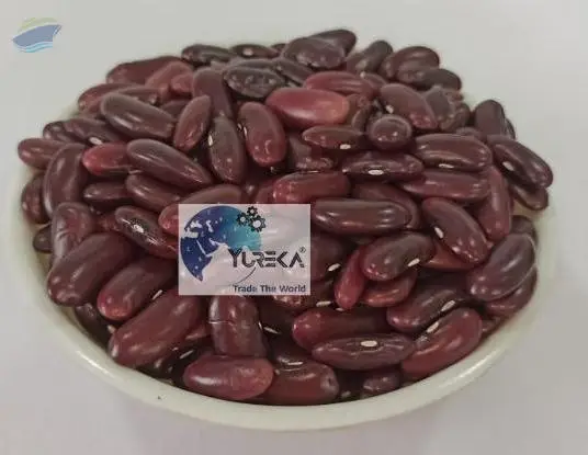 Rajma