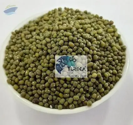 Green Lentils