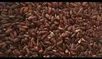 Kullakkar Rice