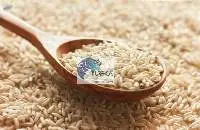 Handponud Ponni Rice