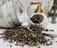 Green Tea