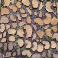 KONJAC CHIPS