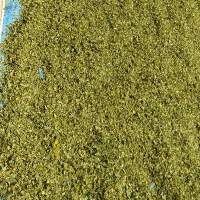 Moringa Oleifera Dried Leaf
