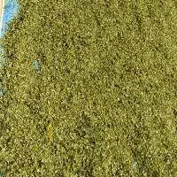 Moringa Oleifera Dried Leaf