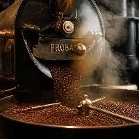 Supresso Gourmet Collection Roasted Beans