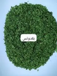 Parsley
