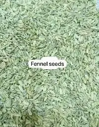 Fennel Seeds