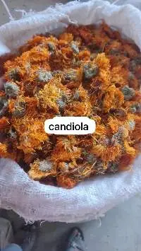 Carndiola