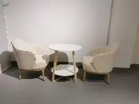 Elegant Patio Chair 03