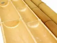 Bamboo