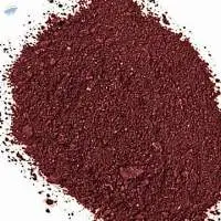 Blood Meal