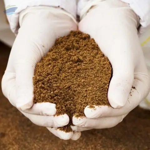 Fish Meal