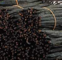 Vanilla Beans Grade A Whole Sale