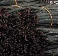 Vanilla Beans Grade A Whole Sale