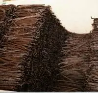 Vanilla Beans  Grade B Whole Sale  (5-6 "  $210)