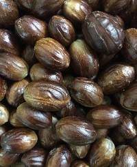 Nutmeg Sri Lanka
