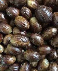 Nutmeg Sri Lanka