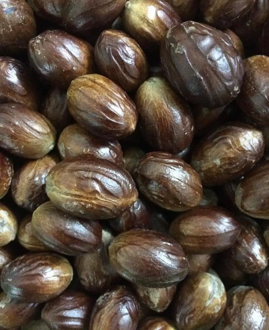Nutmeg Sri Lanka