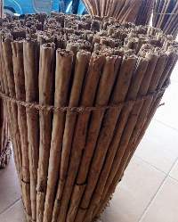 Ceylon Cinnamon-Alba