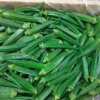 Fresh Ladyfinger