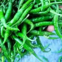 Green Chillies