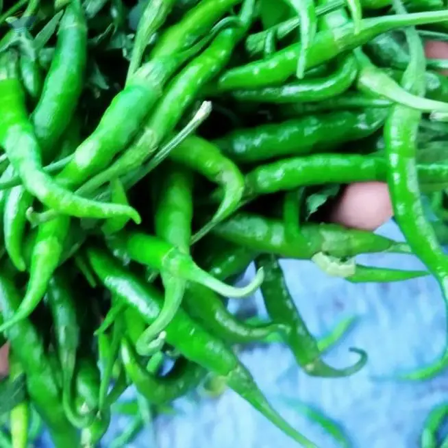 Green Chillies