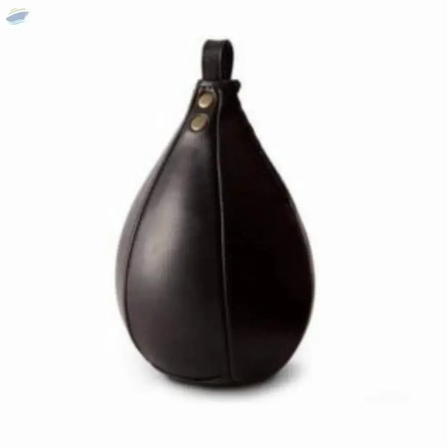 Boxing Speed Ball