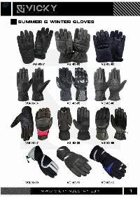 Summer And Winter Gloves