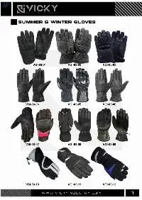 Summer And Winter Gloves