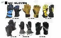 SKI Gloves
